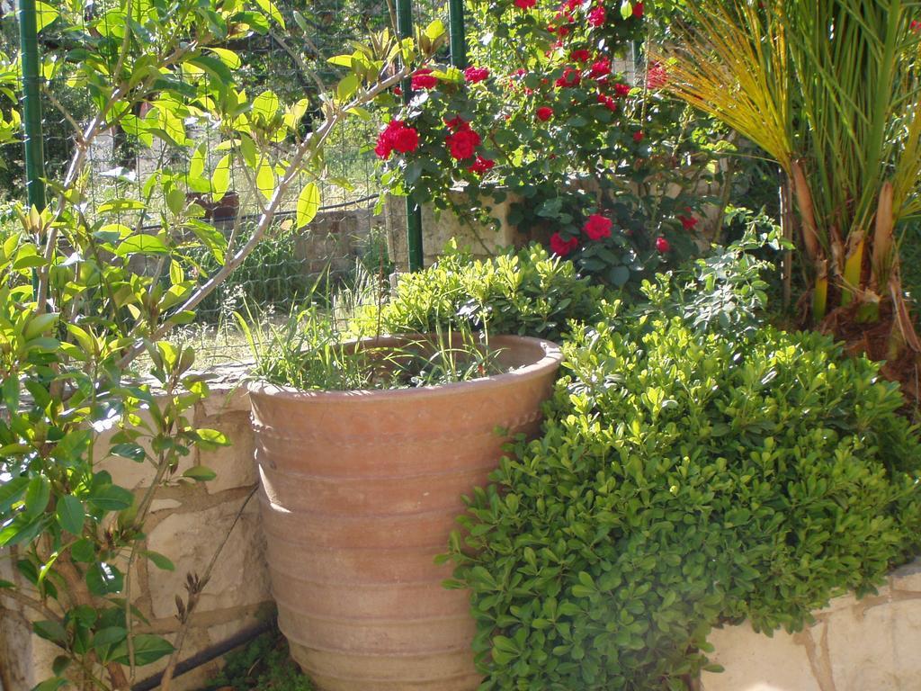 Christina Villas- Minoan Inland Pentamodi エクステリア 写真