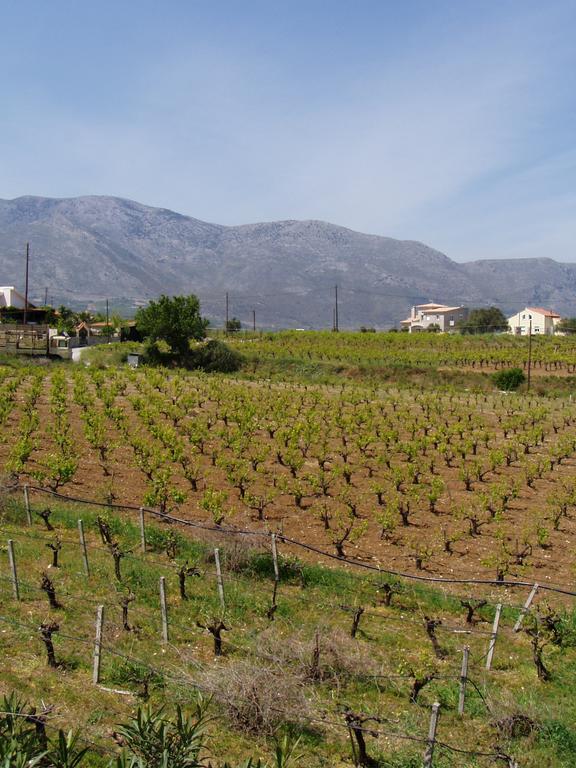 Christina Villas- Minoan Inland Pentamodi エクステリア 写真